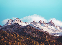 开云：云端之门，开启商业未来的智能引擎